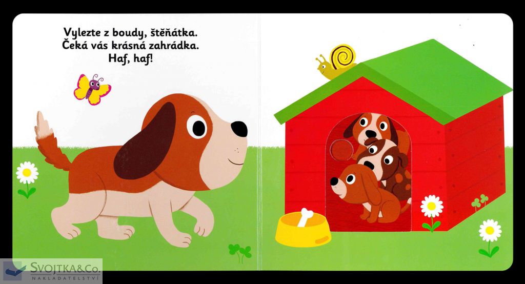 MiniPEDIE Dobrý den, štěňátko!