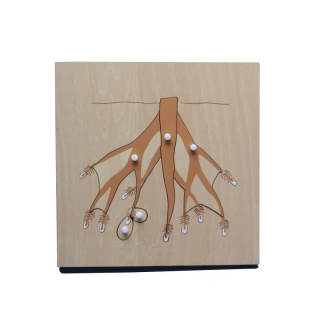 Dřevěné puzzle Kořeny
