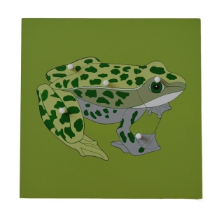 Dřevěné puzzle Žába s kostrou